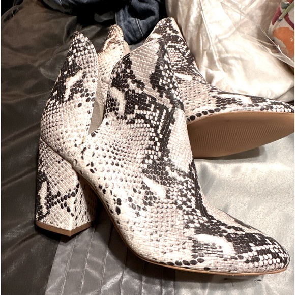 Steve Madden Snakeskin - Picture 1 of 2